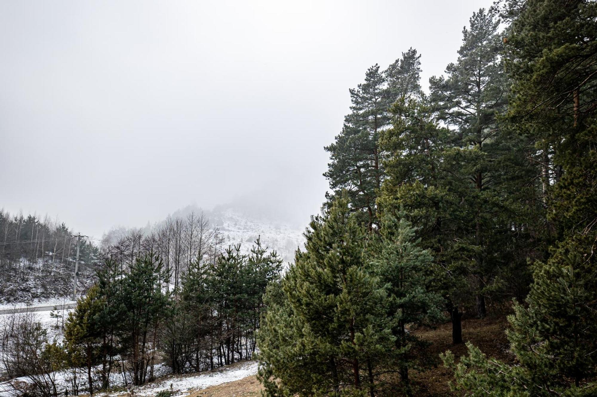 Carpentiere Arena Hotel Răşinari Екстериор снимка